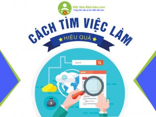 Cách tìm việc hiệu quả trên vieclamdambao.com