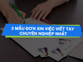 Tải xuống 3 mẫu đơn xin việc viết tay chuyên nghiệp