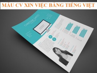 Tải xuống Mẫu cv xin việc bằng tiếng việt cho 10 ngành nghề phổ biến nhất