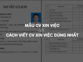 Tải xuống Mẫu cv xin việc hoàn chỉnh và cách viết cv xin việc đúng nhất